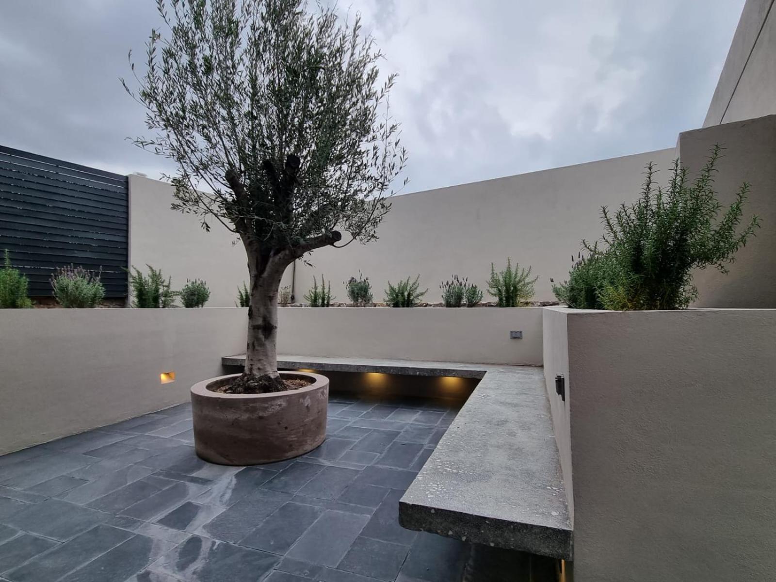 Casa Origenes Hotel San Miguel de Allende Kültér fotó